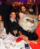 Filename=KJP002.jpg
Filesize=205KiB
Dimensions=600x399
Date added=May 01, 2023 KJP002.jpg